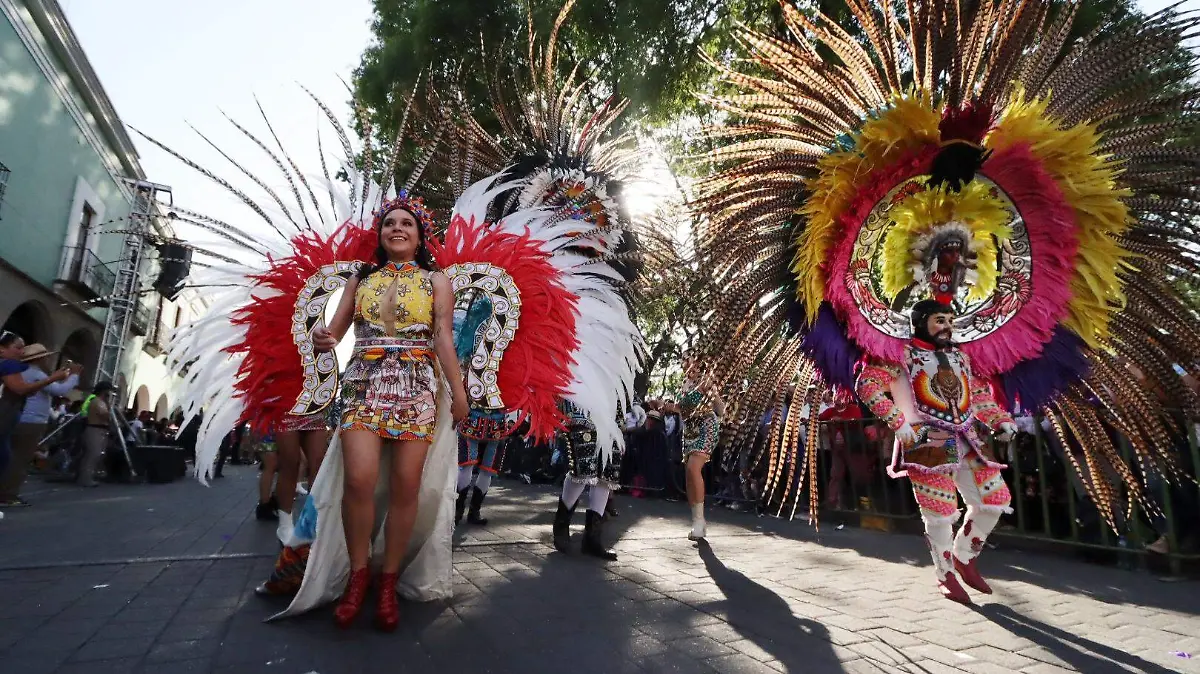 Desfile carnaval (2)